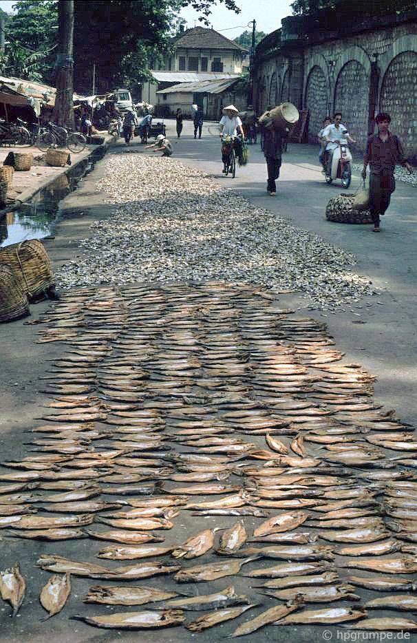 Hà Nội-Altstadt: cá được sấy khô trên đường