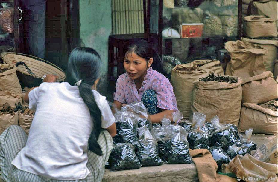 y học cổ truyền Đại lý: Hà Nội-Altstadt