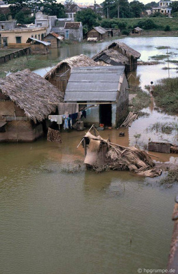 Hà Nội: Nhà ở trên bờ sông Hồng