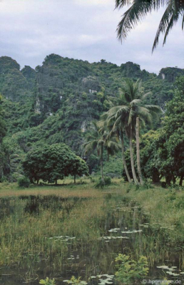 Cảnh quan tại chùa Bích Động