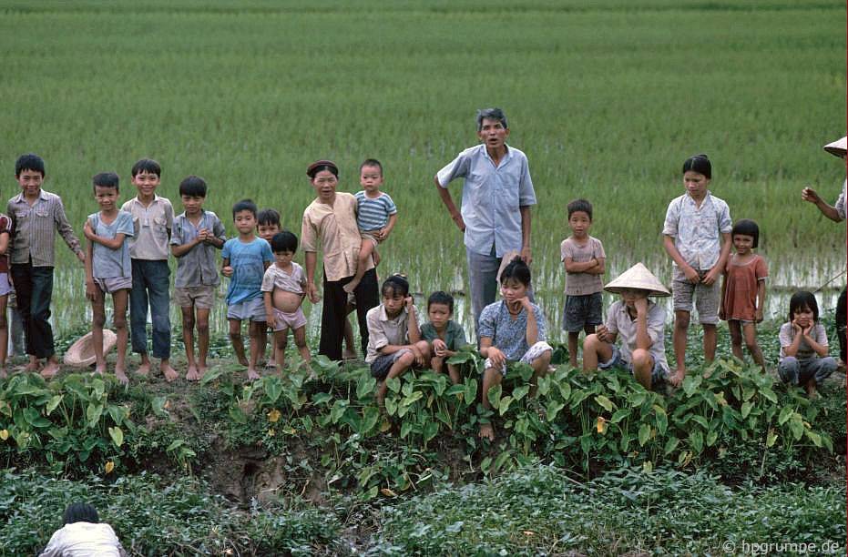 Tìm ốc, cá và vỏ trong hào