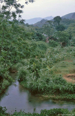 Hòa Bình: Nhà Mường