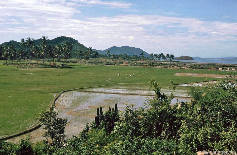 Phong cảnh giữa Qui Nhơn và Đại Lãnh