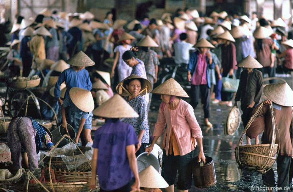 Nha Trang: chợ cá