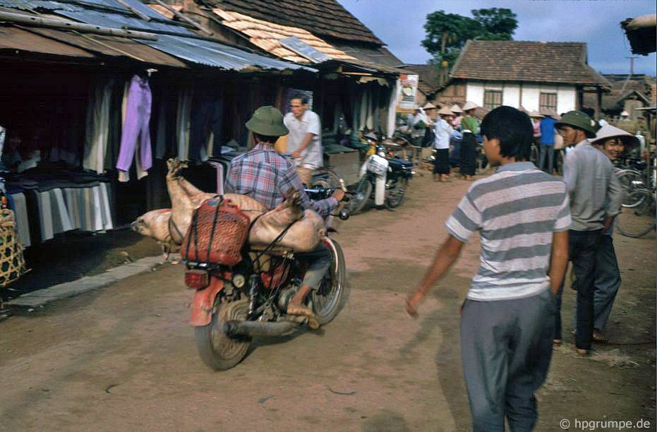 Điện Biên: thị trường - vận chuyển lợn
