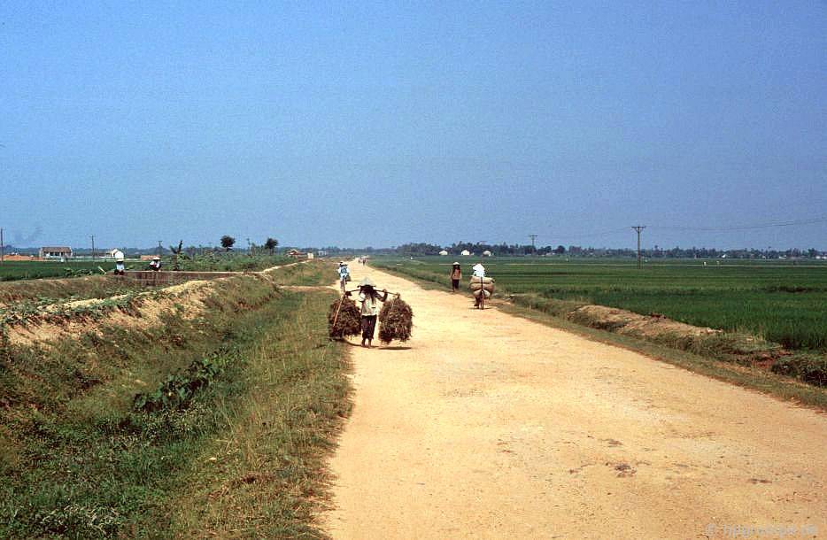 Con đường giữa Hà Nội và Đông Hồ