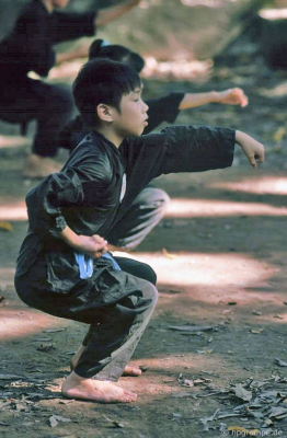 Hà Nội Đền Quan Thần - Tập đoàn Võ thuật