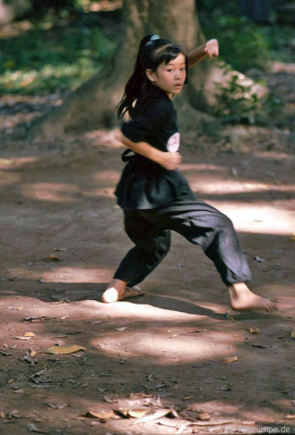 Hà Nội Đền Quan Thần - Tập đoàn Võ thuật