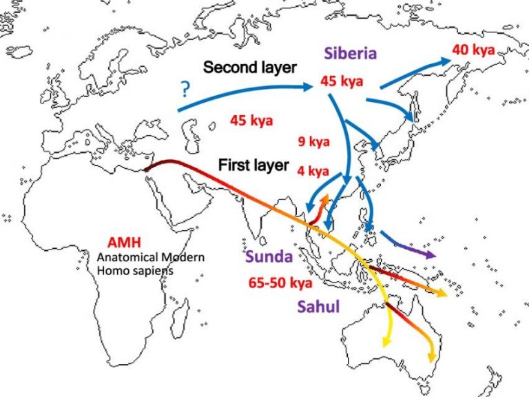 Lưu bản nháp tự động