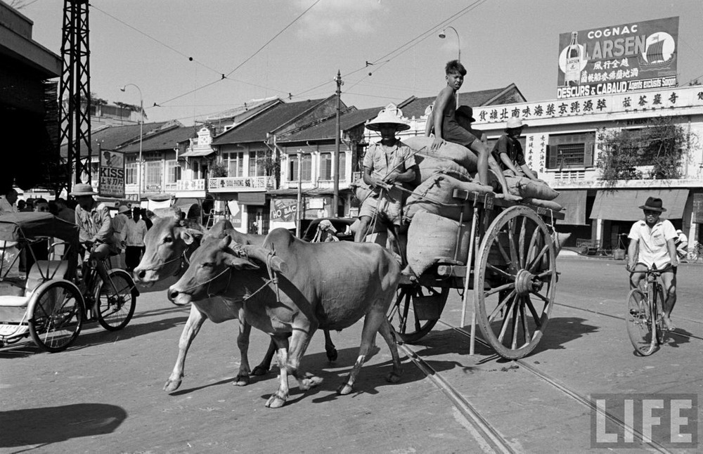 Lưu bản nháp tự động