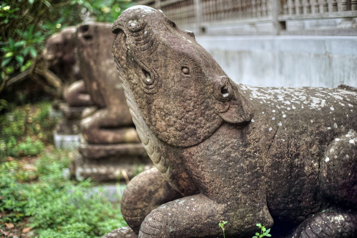 Lưu bản nháp tự động