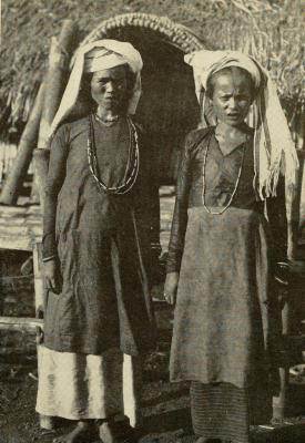 Lưu bản nháp tự động