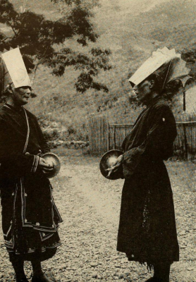 Lưu bản nháp tự động