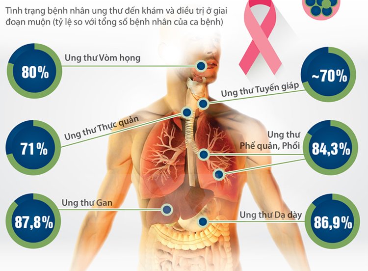 Lưu bản nháp tự động