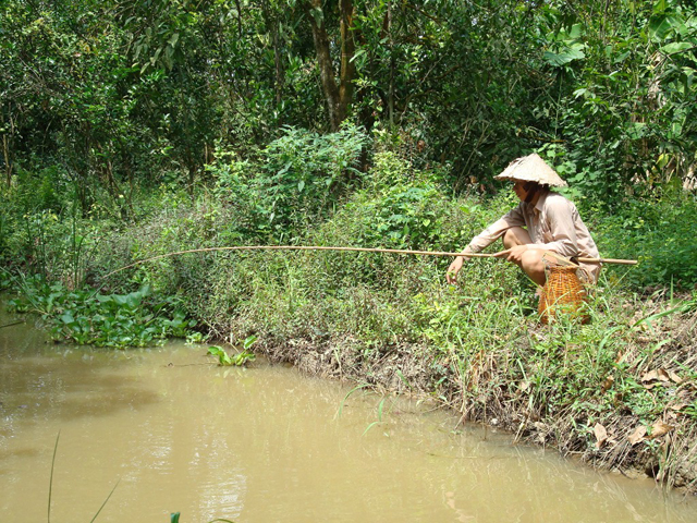 Câu cá còm - Nghề chơi cũng lắm công phu