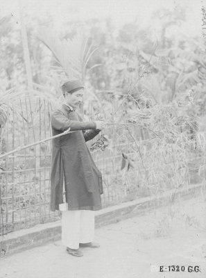 Lưu bản nháp tự động