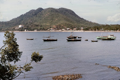 Lưu bản nháp tự động