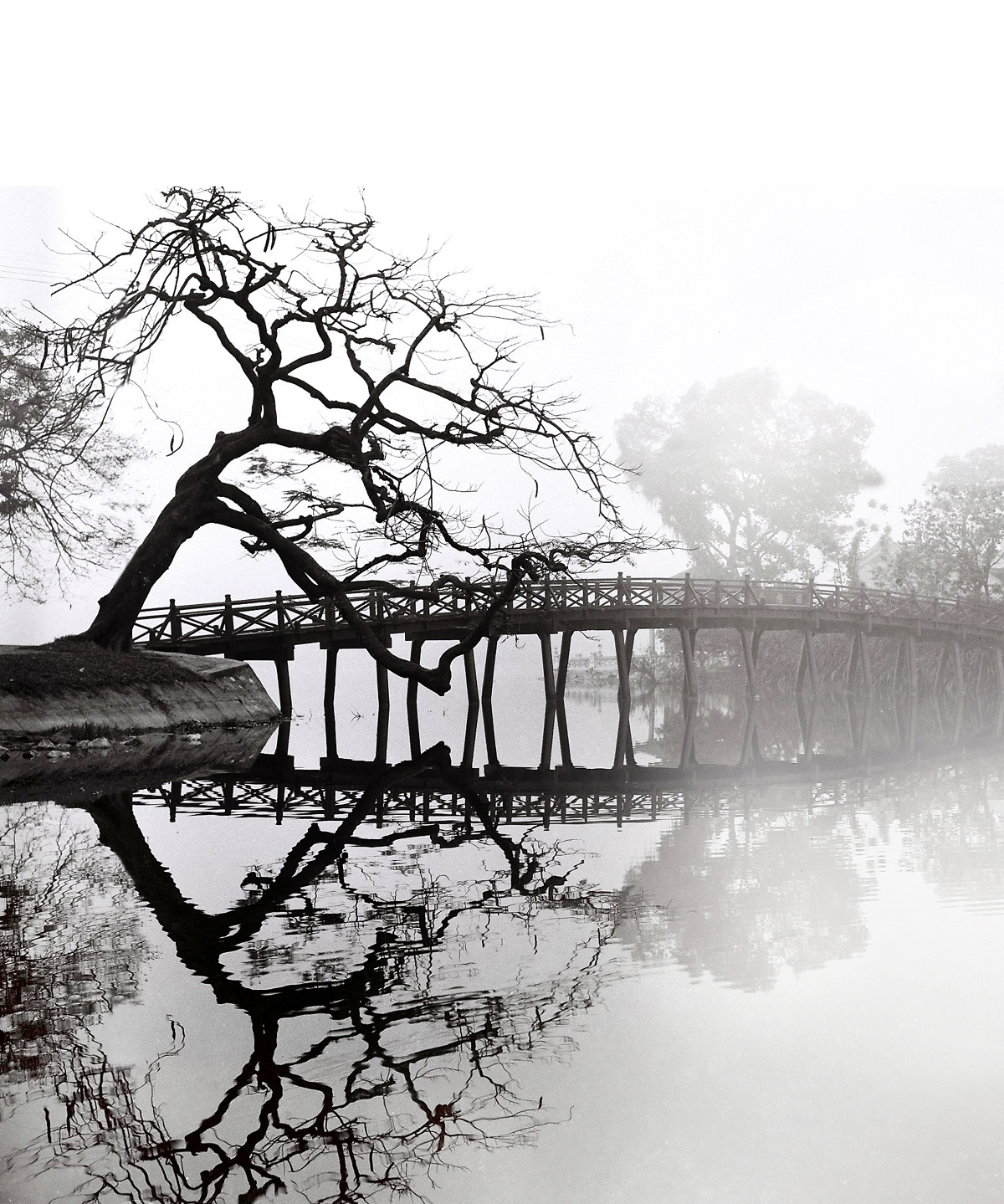 Chum anh Ha Noi xua cua nghe si nhiep anh gan 100 tuoi hinh anh 1 