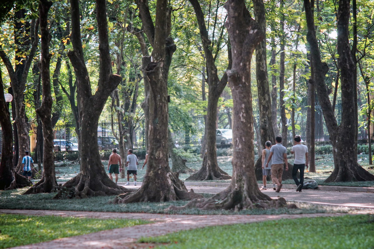 Chùm ảnh: Khám phá Vườn Bách Thảo – công viên lâu đời nhất Hà Nội