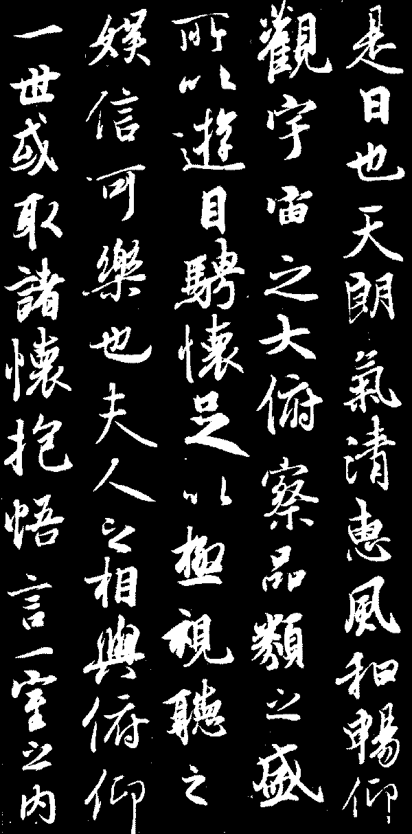 calligraphy là gì