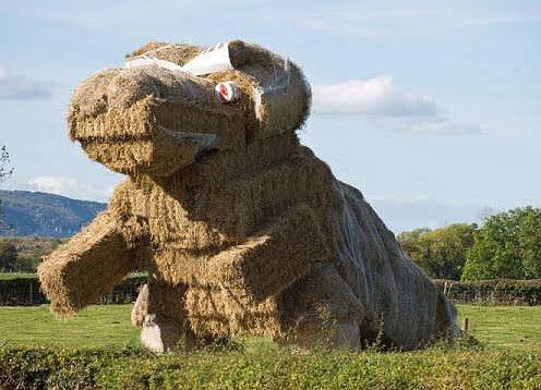 A “straw dog“ was a ceremonial object used in place of an actual dog in ancient Chinese sacrifices. | Environmental art, Amazing art, Art