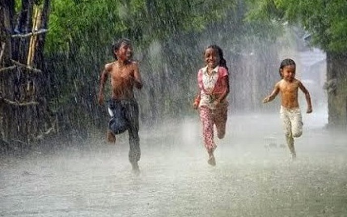 Mùa mưa quê | Dân Việt