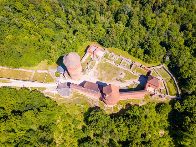 Free photo aerial shot of turaida castle, sigulda
